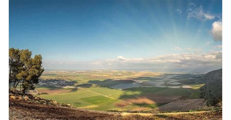 zion oil gas  plan  corporate update