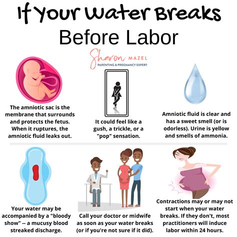 7 Best Sex Positions During Pregnancy Infographic Artofit