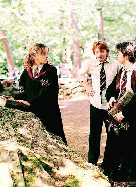 Гарри Джеймс Поттер | Wiki | Поттериана Amino