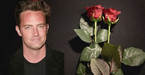 The Highest Grossing Matthew Perry Movies, Ranked