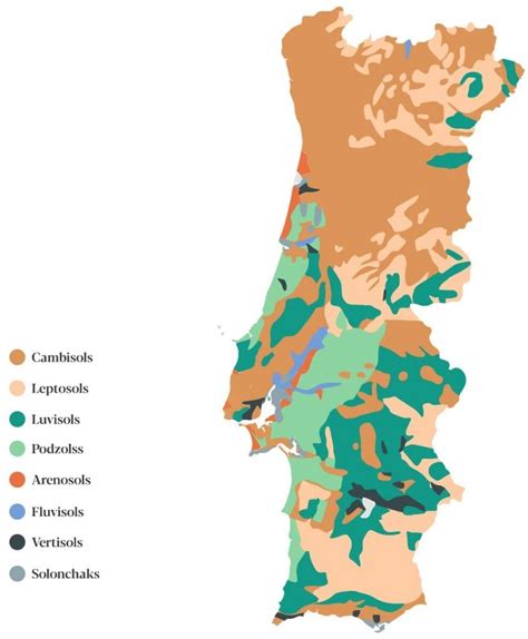 O Estudo Do Solo A Pedologia E As Cartas De Solo Em Portugal Agroportal