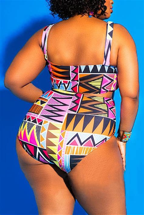 Sexy Plus Size Printing Multicolor Swimsuit