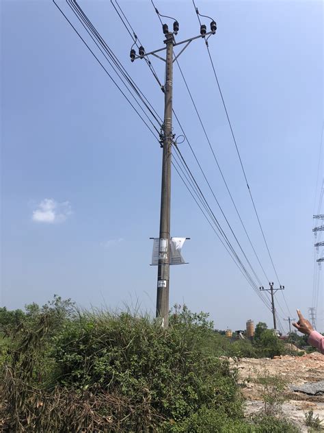 dhddantrantt object detection dataset  dh