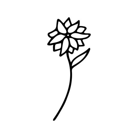 Hand Drawn Herbal Floral Clipart One Line Doodle Vector 20426505