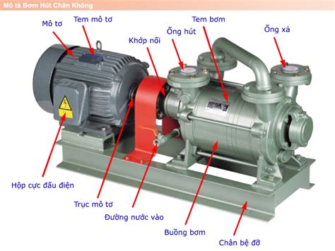 Bơm chân không vòng nước SW 3 7kW 5HP