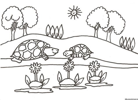 Desenhos Para Colorir Natureza E Animais