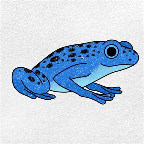 Draw Amphibians - HelloArtsy