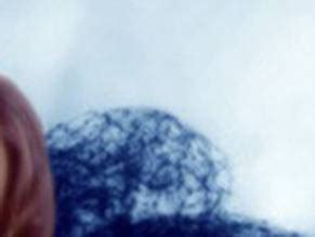 Anne Carlisle Nude Aznude