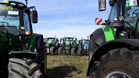 Prosegue La Mobilitazione Dei Trattori Coldiretti Attacca Schifani E