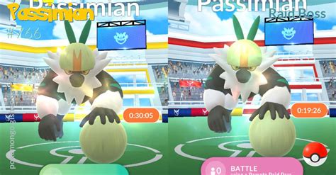 Passimian Raid Boss - Pokemon Go