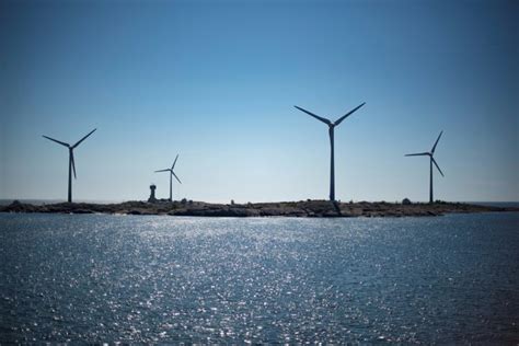 green finance blooms  investors   profits