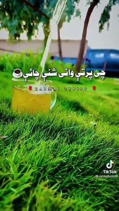 shn cha youtube