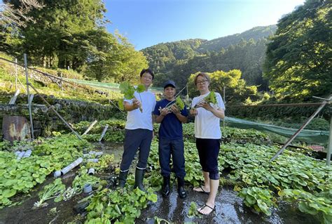 【メディア掲載情報】当社が発売した「静岡県ジン」が日経mjに掲載されました ★starmark®