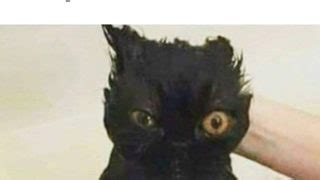 Une jeune fille blonde qui se fait niaiser à l école ConneriesQc