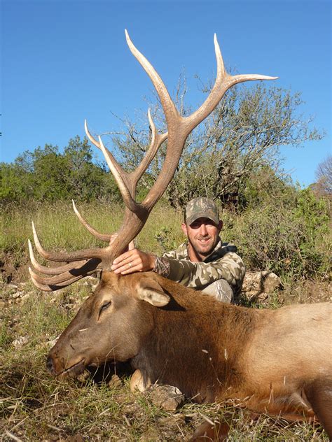 private ranch elk hunting – Compass West Outfitters Compass West Outfitters