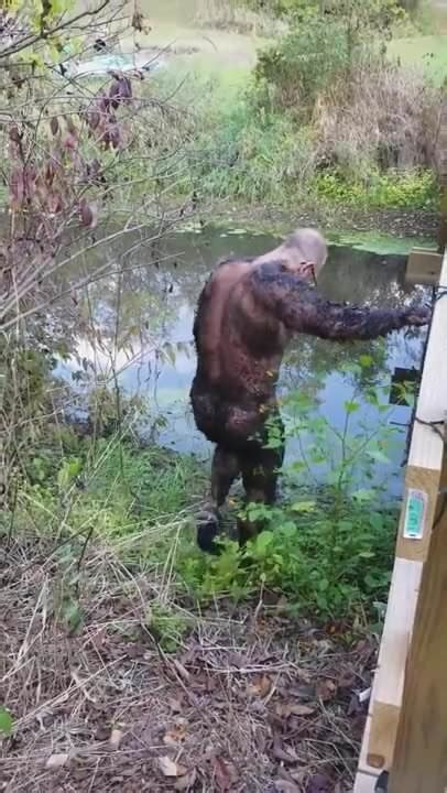 Boatinrob Gay Porn Videos Sex Model Nudes Xhamster