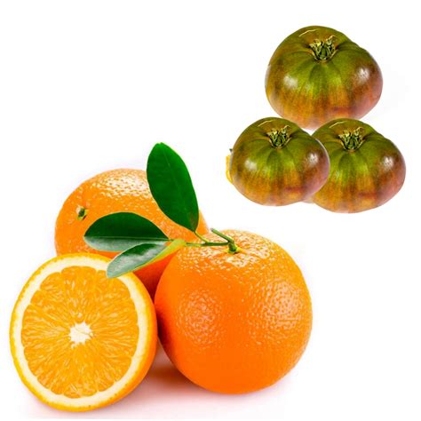 Buy Oranges And Tangerines From Valencia At Home Oranges Online