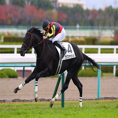 【新馬阪神5r】モーリス産駒クファシルがデビューvで、良血馬対決を制する 2022年11月26日掲載 ライブドアニュース