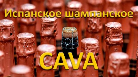Испанское вино. Кава - YouTube