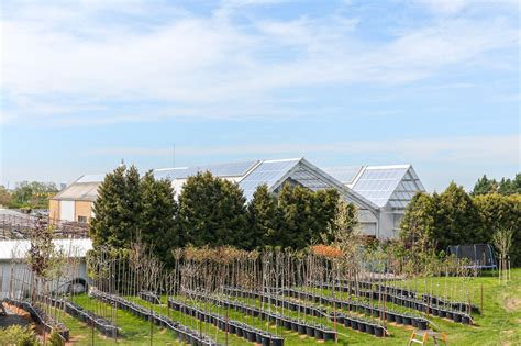 archiweb.cz - Záhradné centrum Plantex