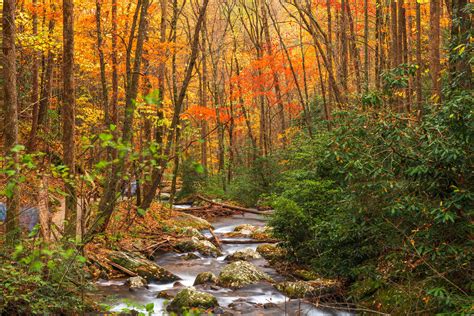 A Dream Job For Outdoors Enthusiasts! - National Land Realty News