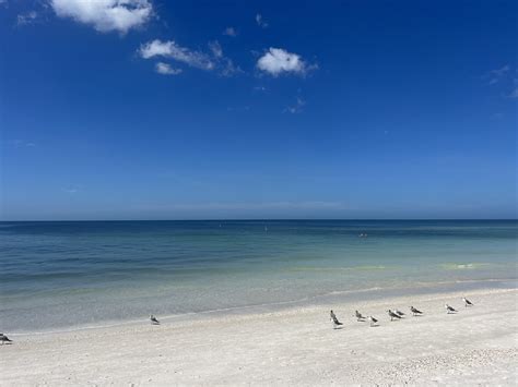 Anna Maria Island - Luxury Holidays