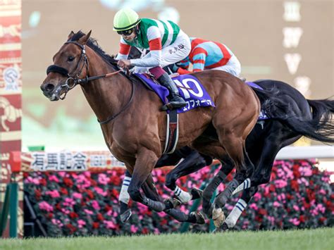 有馬記念 歴代優勝馬・騎手一覧 競馬まとめ