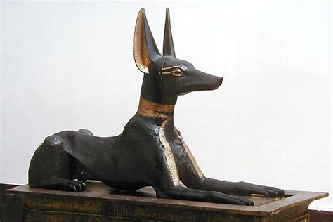 Анубис - история божества Древнего Египта, символ, значение и характер ...