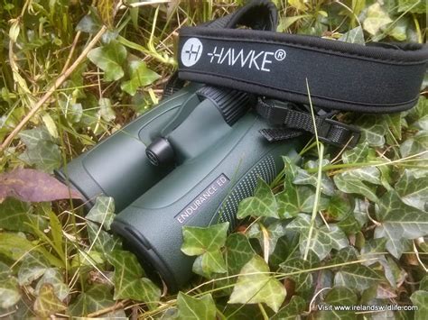 Hawke Endurance ED Binocular Ireland S Wildlife