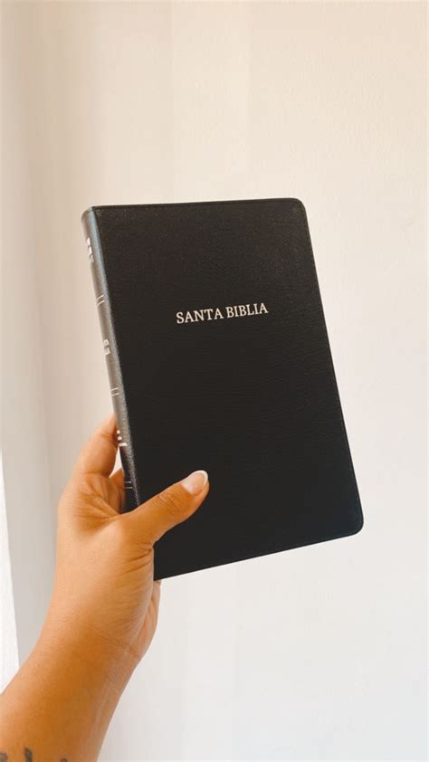 Biblia Ultrafina Con Referencias Nvi Cuerina Negra Escrito Est