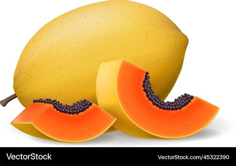 papaya fruit slices royalty  vector image vectorstock