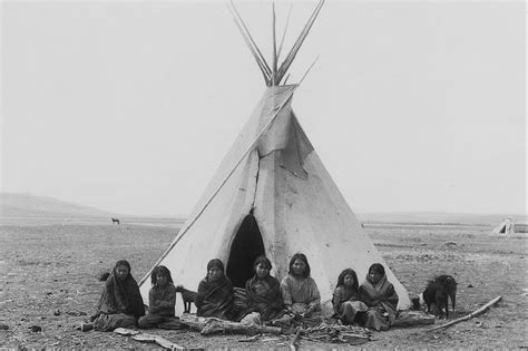 Larga lengua de lagartija: O tipi