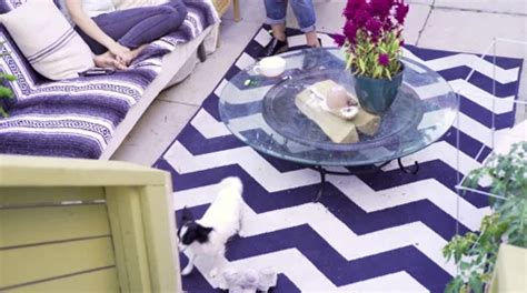 Lesbian Pick Up Stock Video Footage Royalty Free Lesbian Pick Up Videos Pond