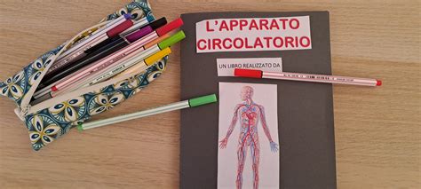 Lapbook Dellapparato Circolatorio