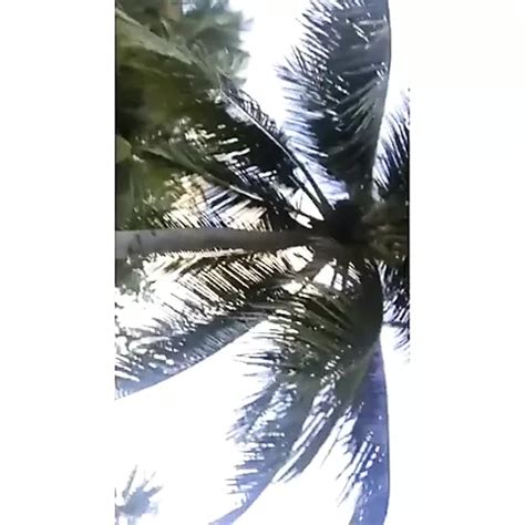 Elizabeth Hurley Poil Vid Os Porno Et Sex Tapes Xhamster