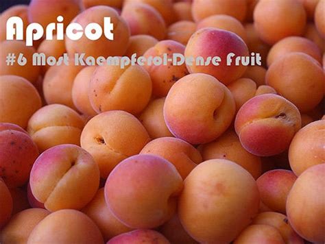 63 Kaempferol Rich Foods Ranked Hydration Monitoring Intake