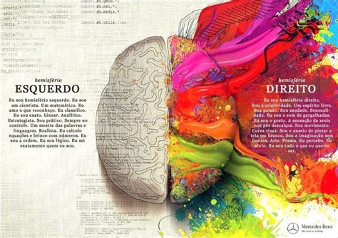 Cerebro Lado Esquerdo E Direito - lado esquerdo lado direito do cerebro | Left brain right brain, Right ...