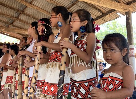 Herança Indigena No Brasil - FDPLEARN