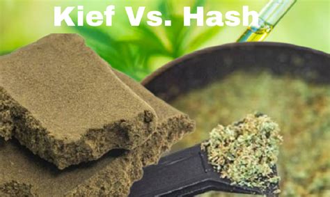 Kief Vs Hash What S The Difference Top Bc Cannabis