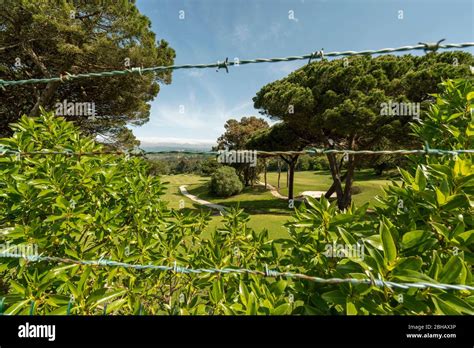 Golf Course Estoril Portugal Stock Photo Alamy
