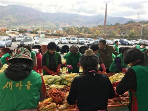 새마을운동 보령시지회 사랑의 겨울김장 나눔행사