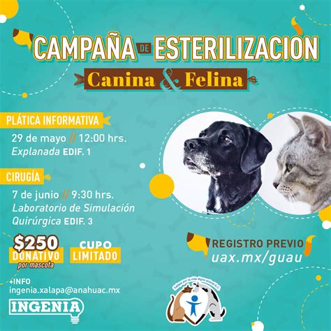 Campa A De Esterilizaci N Canina Y Felina Universidad An Huac Veracruz