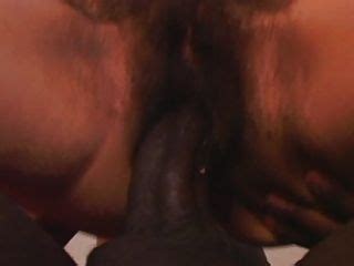 Hairy Bush Free Xxx Tubes Look Excite And Delight Hairy Bush Porn At Hotntubes