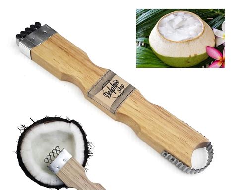 dolphin shop coconut grater scraper shredder  fresh  baby coconut