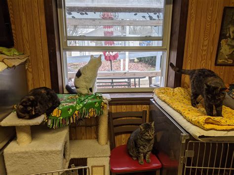 Humane Society of Danville | Danville, Illinois