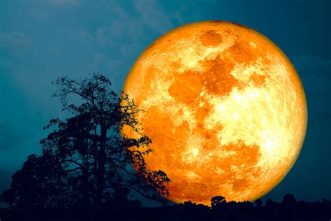 The "Super Sturgeon Moon" - tonight's full moon will look huge in the ...