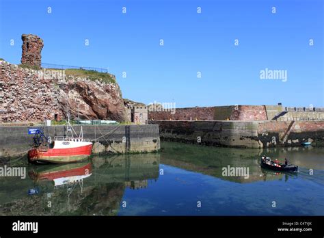 Dunbar Castle Ruins And Victoria Harbour Dunbar East Lothian