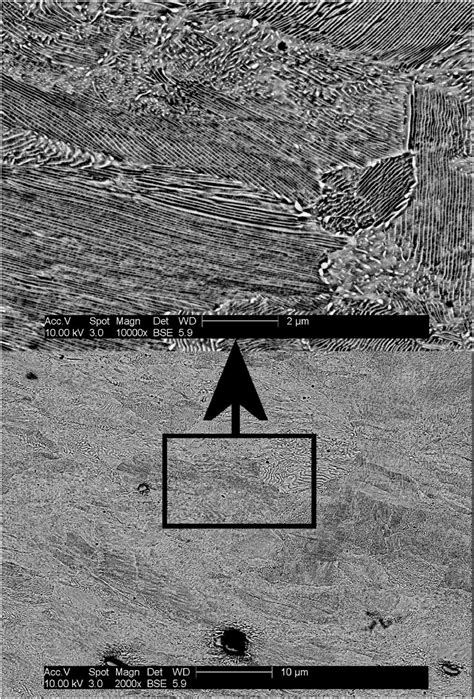 Fine Pearlite Electropolished Sem Bse 2000Ã And 10 000Ã Download Scientific Diagram