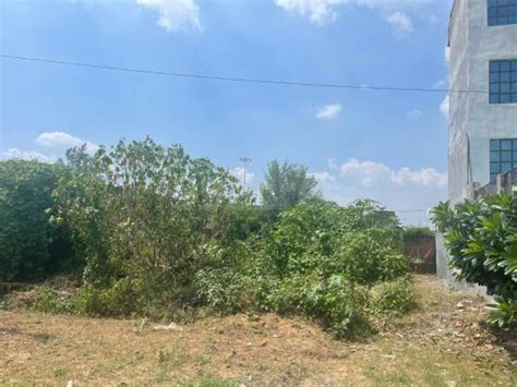 Residential Land Plot For Sale In Upsidc Site C Greater Noida