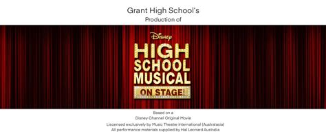 Disney High School Musical On Stage Country Arts